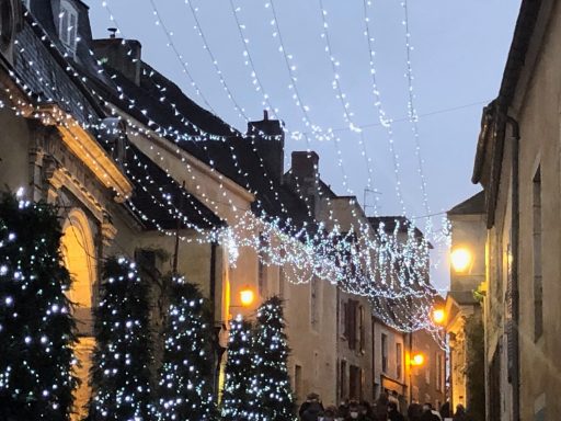 Rue décorée de lumières scintillantes et sapins de Noël pendant les fêtes.