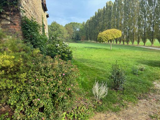 Vaste jardin verdoyant avec des arbres et des buissons en arrière-plan.