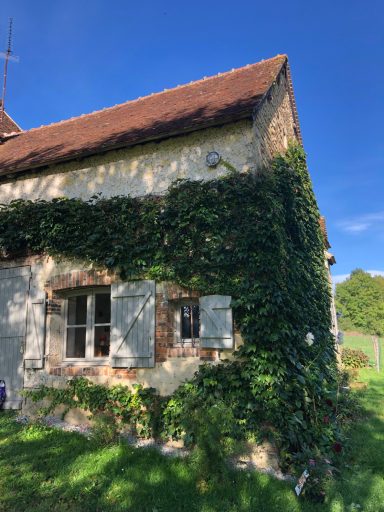 Maison en pierre avec mur végétal, fenêtres à volets, jardin verdoyant.